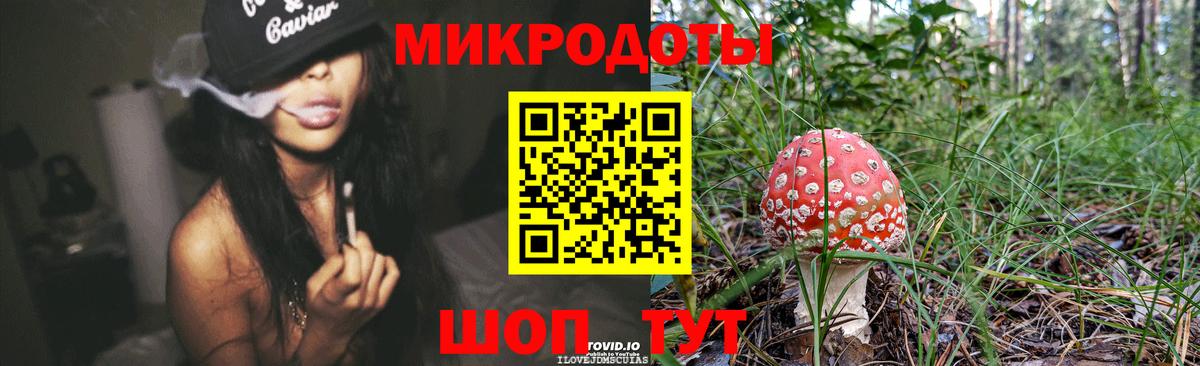 купить наркотики цена  Галлюциногенные грибы Psilocybe  Вход с VPN  Гатчина 